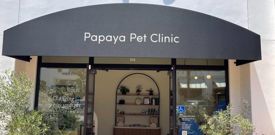 Papaya entrance