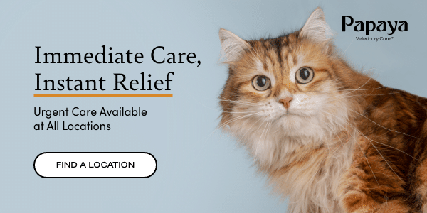 Immediate Care, Instant Relief. Urgent Care Available at All Locations. Click here to schedule an appointment.