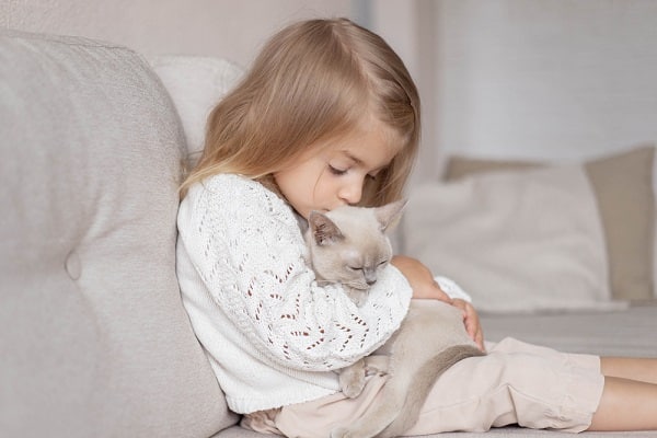 Little gir hugging Hypo-Allergenic cat